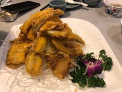 -农家大院(纪王店)