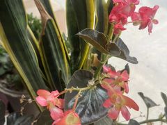 -思思·情景·养生Spa