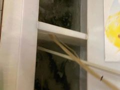 -小小河边鱼(天润城店)