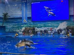 -多彩贵州城极地海洋世界