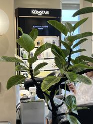 -凯博K-boom Hair Salon