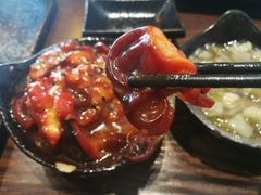 八爪鱼冷盘-哏儿寿司(红桥店)