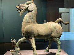 -广西壮族自治区博物馆