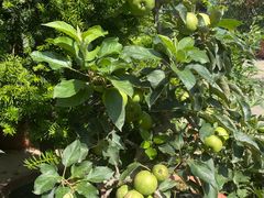 -长春公园(普阳街道)