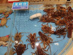 -双井轩(双井店)