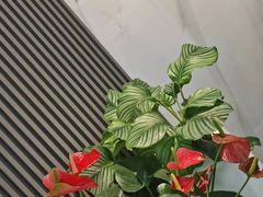 -企巴兔·注册公司代理记账