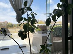 -秦皇岛阿尔卡迪亚滨海度假酒店