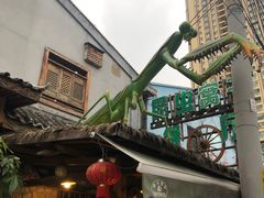 -昆虫窝子·特色云南菜(拓东路总店)