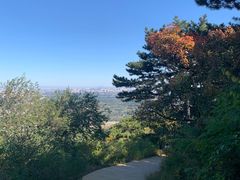 -北京西山国家森林公园