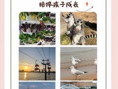 -北戴河集发农业梦想王国