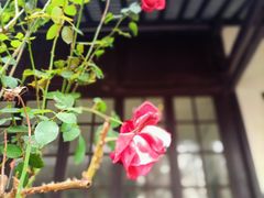 -狼山风景名胜区