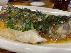 清蒸鲈鱼-老裕缘汤包馆(嘉善路店)