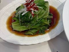罗马生菜-船歌·鱼水饺青岛菜(国贸商城店)