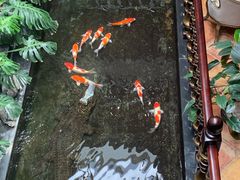 -福禧酒窖·中餐厅 (万柳店)