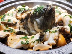 秘制酱焗龙胆石斑-上屿水产(鼓浪屿一店)