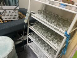 -苗塑堂减肥艾灸