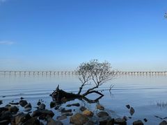 -宝安西湾红树林湿地公园