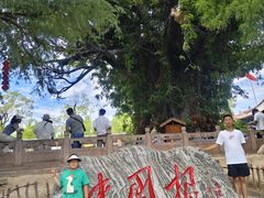 -大槐树寻根祭祖园