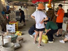 -马陆小张葡萄园农家乐