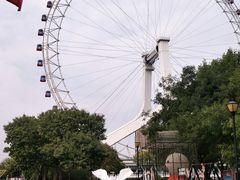 -海河游船-永乐码头(大悲院)