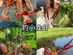 -上海山野camping·户外天幕烧烤·团建拓展营地