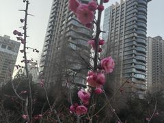 -渭滨公园