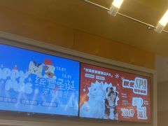 -帕帕拉兹宠物(亚洲旗舰店)