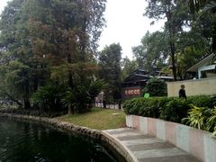 -晓港公园