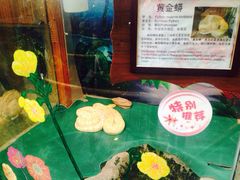 -上海大自然野生昆虫馆