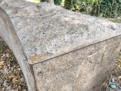 -东疆建设开发纪念公园