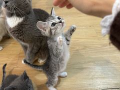 -觅时光手作·香薰·拼豆豆·陶艺DIY