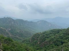 -大岭沟猕猴桃谷风景区