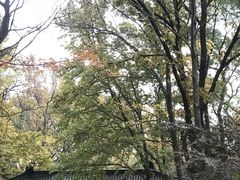 -岳麓山风景名胜区