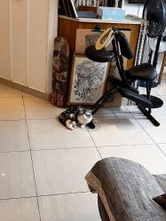 -长沙纹身· 龙堂刺青·三土师傅的店