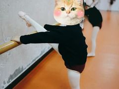 -陕西省小天鹅艺术团