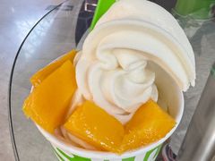 -Salud撒露欧洲冻酸奶(北苑上品店)