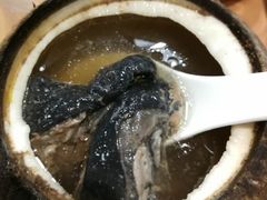 -達揚原味燉品(文明路店)