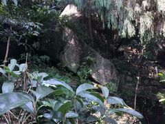 -寻龙山风景旅游区