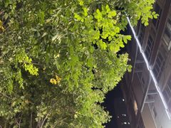 -鼎膳常火锅(华阳店)