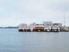-日照世帆赛基地