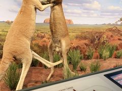 -陕西自然博物馆