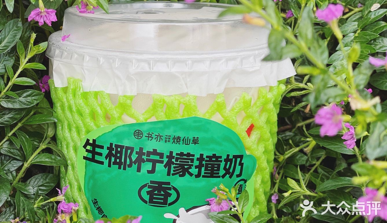 盛夏色調激活馥郁氣息，书亦之中時光之外。