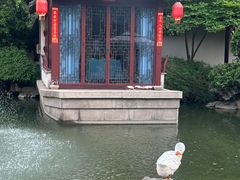 -祝家花園(伯渎港店)