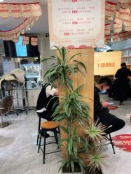 -一東造型烫发染发
