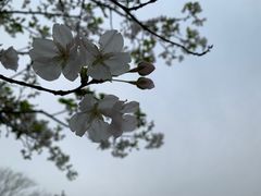 -沙市市中山公园