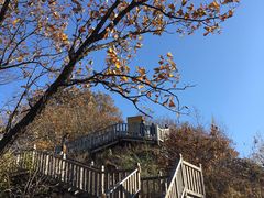 -帽儿山国家森林公园