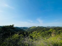 -大连金龙寺国家森林公园-售票处