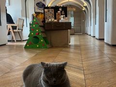 -Me Coffee下午茶艺术空间