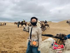 -银肯塔拉沙漠生态旅游景区