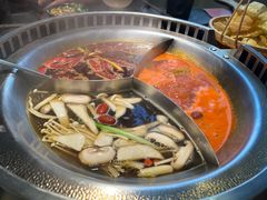 -辣伍鲜毛肚老火锅(元一店)